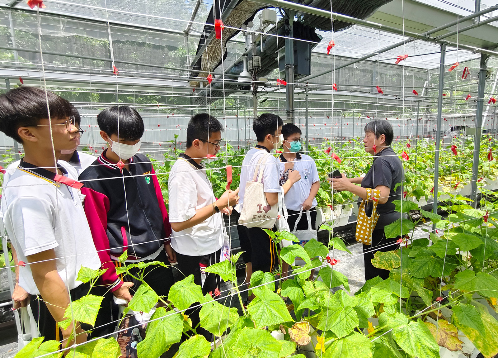 Image gallery marquee